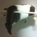 7月24日の日記