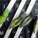始まったばかりだと言うのに終わりな気分　“君たちはどうしても明日出て行くのだね”　の巻