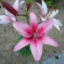 2012年7月26日（木）