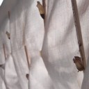 馬鹿＋馬鹿＝俺たち愉快な糞馬鹿家族　“ソラ吉、一時帰宅”　の巻