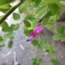 夏休み