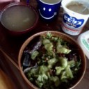 茄子の煮浸し。
