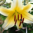 2012年7月30日（月）