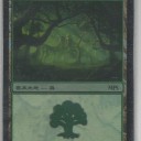 プロモ２５７：MPSランド2008年