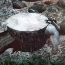 【薪割】Skyrim【殺人】