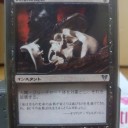 SA始めました。