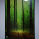 《森/Forest》に《巨大化/Giant Growth》を撃ったら76マナ出るようになった。