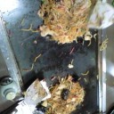オカダ組お盆企画:お好み焼き対決※追記あり