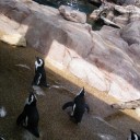 12/8/12 京都水族館へ