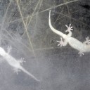 秘すれば花？　“こそこそする事はいい事だ”　の巻