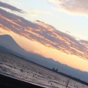 海海