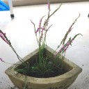 あぁ、疲れた「夏休み」