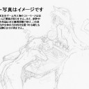 【久々に】２０年ぶり【本気出す】