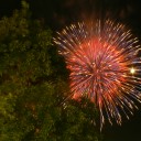 ＶＩＶＡ！花火大会　“ＹＥＳ！ばかすクリニック”　の巻