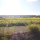 今日はお出掛け