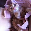 やんちゃ報告　その1