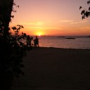 Sunset Dinner