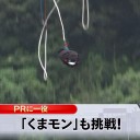 くまモンだもん！