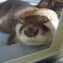 ときどき・・・・ごうう・・