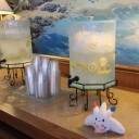 ＷＣＳ　２０１２　母の雑記編　～　最終　～