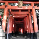 近況