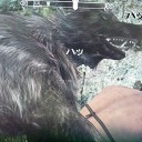 【Skyrim】唯一（？）の常識人【カルジョ！】
