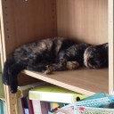 働きたいかた。