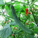 2012年9月6日（木）
