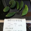 【大会結果】東神奈川PWC-346th-
