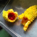 黄色いゴーヤの赤い種