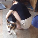 とある一日