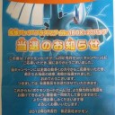 飛翔入手