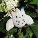 トゲキッスがでるんですか？