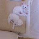今後に向けて