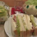 更なる何かを求めようとするお茶会とシェイミ