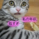 9月17日の日記