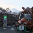 富士サファリパーク