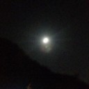 セルフハート会議