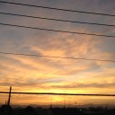 かいこ…？って、アノかいこですか？