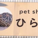 ひらた