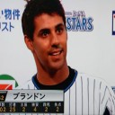 ブランドン２勝目！引分２回挟んで５連勝だぜ～！！