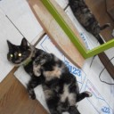 推敲中…　（追記ありす。）
