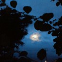 2012年9月28日（金）