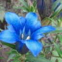 2012年9月29日（土）