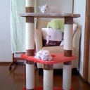 ラヴニカプレリ