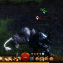GW2参戦