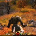 GW2育成