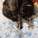 なべて世はこともなし…？