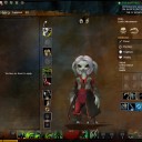 Guild Wars 2 その11　単にだらだら雑談風味