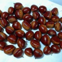 2012年10月7日（日）